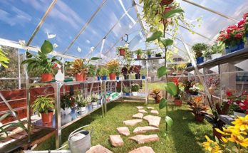 best-greenhouse-kits