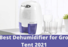 6 Best Dehumidifier for Grow Tent